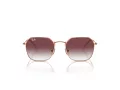 Ray-Ban RJ 9594S 291/8H 49 Children sunglasses