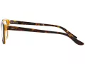 Ralph Lauren RL 6062 5277 52 Women glasses