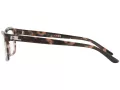 Ralph Lauren RL 6169 5655 51 Women glasses