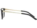 Ralph Lauren RL 6206 5001 54 Women glasses