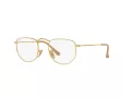 Ray-Ban Elon 3958V 3086 50 Men, Women glasses