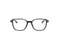 Ray-Ban Leonard RX 5393 2012 49 Men, Women glasses