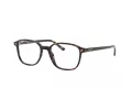 Ray-Ban Leonard RX 5393 2012 49 Men, Women glasses