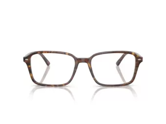 Ray-Ban Raimond RX 5431 8395 56 Men, Women glasses