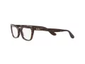 Ray-Ban Lady Burbank RX 5499 2012 49 Women glasses