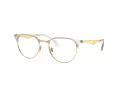 Ray-Ban RX 6396 5762 51 Men, Women glasses