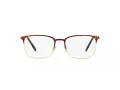 Ray-Ban RX 6494 2945 54 Men glasses