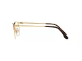 Ray-Ban RX 6494 2945 56 Men glasses