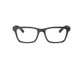 Ray-Ban RX 7025 2077 55 Men, Women glasses