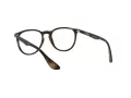 Ray-Ban Erika 7046 5365 51 Women glasses