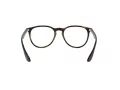 Ray-Ban Erika 7046 5365 51 Women glasses