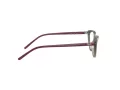 Ray-Ban RX 7188 8083 52 Women glasses