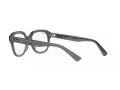 Ray-Ban Erik RX 7215 8257 51 Men, Women glasses