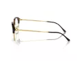 Ray-Ban RX 0RX7229 2012 51 Men, Women glasses