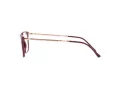 Ray-Ban RX 7244 8099 53 Men, Women glasses