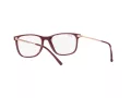Ray-Ban RX 7244 8099 53 Men, Women glasses