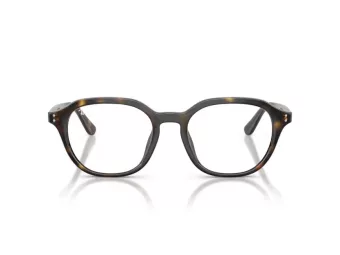 Ray-Ban RX 7259D 2012 52 Men glasses