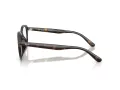 Ray-Ban RX 7259D 2012 52 Men glasses
