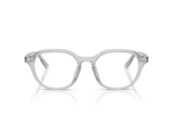 Ray-Ban RX 7259D 8411 52 Men glasses