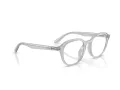 Ray-Ban RX 7259D 8411 52 Men glasses