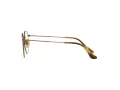 Ray-Ban Round RX 8247V 1222 50 Men, Women glasses