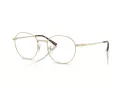 Ray-Ban RX 8778D 1251 52 Men, Women glasses