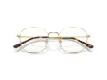Ray-Ban RX 8778D 1251 52 Men, Women glasses