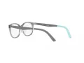 Ray-Ban RY 1614D 3908 49 Children glasses