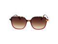 Replay RY 468V 03S 55 Women sunglasses