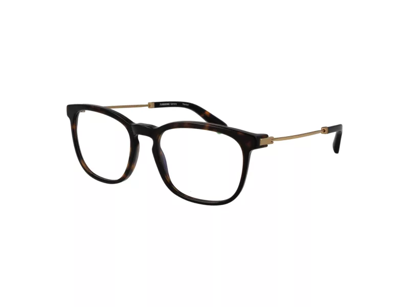 Rodenstock R 8029 B 53 Men glasses