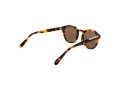 Superdry SDS 5012 102 52 Men, Women sunglasses
