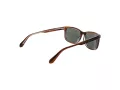Superdry SDS 5029 101 56 Men sunglasses