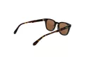 Superdry SDS 5043 102 50 Men sunglasses
