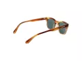Superdry SDS 5043 194 50 Men sunglasses