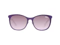 Superdry SDS Echoes 020 56 Men, Women sunglasses