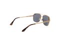 Superdry SDS Miami 001 56 Men, Women sunglasses