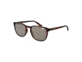 Superdry SDS Summer 102 53 Men, Women sunglasses