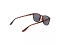 Superdry SDS Summer 102 53 Men, Women sunglasses
