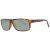 Serengeti Claudio SER 9053 61 Men, Women sunglasses