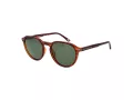 Skechers SE 6207 48R 51 Men sunglasses