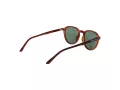 Skechers SE 6207 48R 51 Men sunglasses
