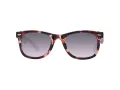 Skechers SE 6216 54D 51 Men, Women sunglasses