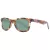 Skechers SE 6216 56R 51 Men, Women sunglasses