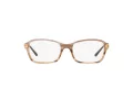 Sferoflex SF 1557B C589 50 Women glasses