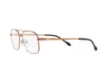 Sferoflex SF 2249 472 55 Men glasses
