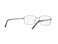 Sferoflex SF 2262 231 55 Men glasses