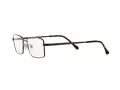 Sferoflex SF 2271 441 53 Men glasses