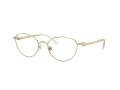 Swarovski SK 1002 4004 53 Women glasses