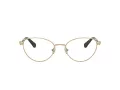 Swarovski SK 1002 4013 53 Women glasses