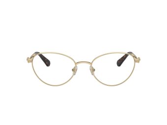Swarovski SK 1002 4013 53 Women glasses
